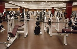 App Gym WP: Los Mejores Programas de Entrenamiento
